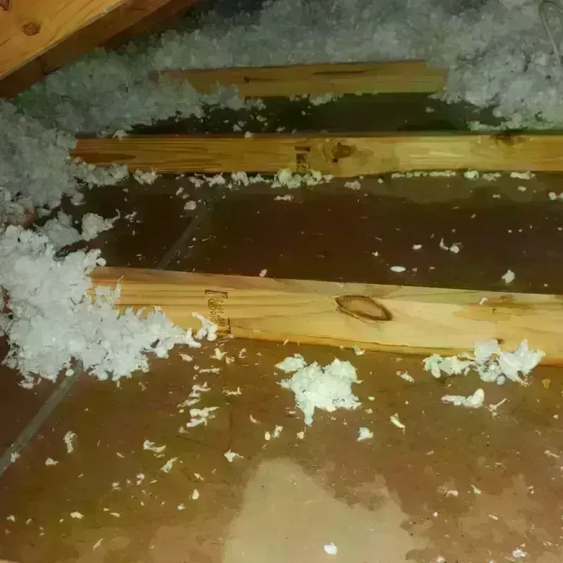 Attic Water Damage in Liberty, MS