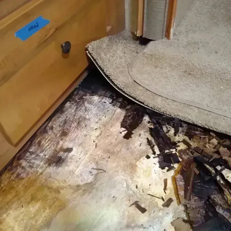 Wood Floor Water Damage in Liberty, MS